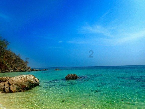 失忆的流浪者
