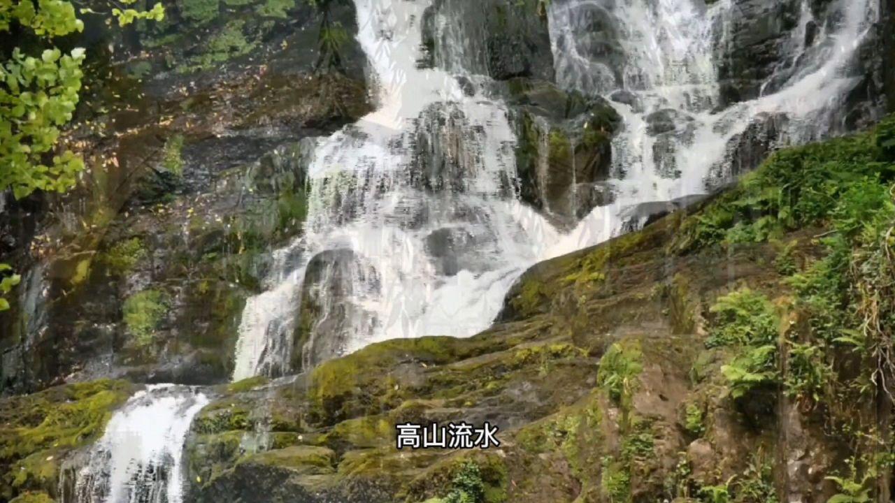 会泽以礼街道河滨社区开展预防网络诈骗宣传活动