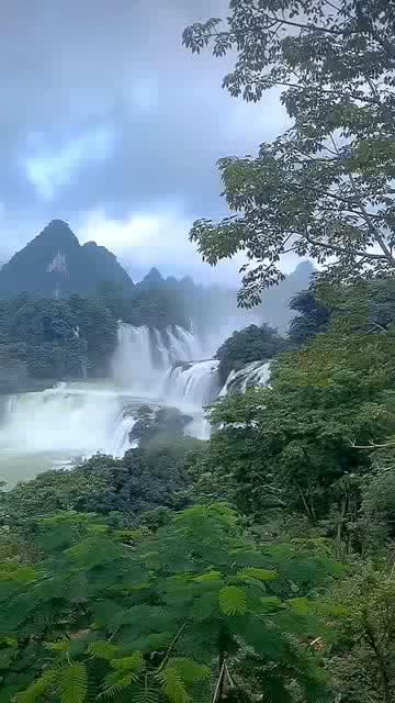 永恒纪元:戒下载
