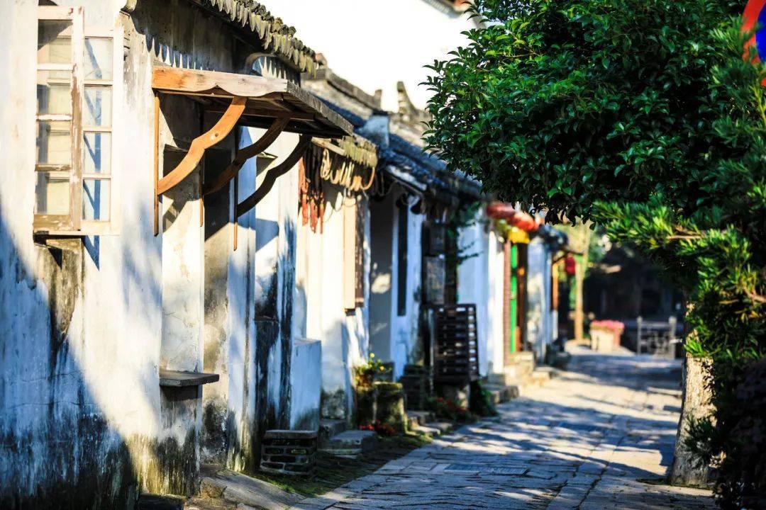 黑龙江博物馆有一镇馆之宝,一拿出来就怪叫,曾被誉为中华第一龙